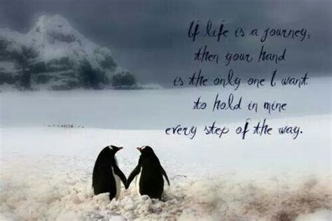 Everyone knows penguins are the cutest. Penguin Friendship Quotes. QuotesGram