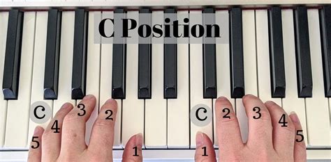 Hand Position On The Piano Where And How To Do It Correctly