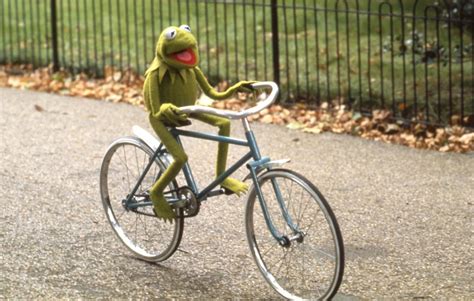 Frog On A Bike Meme