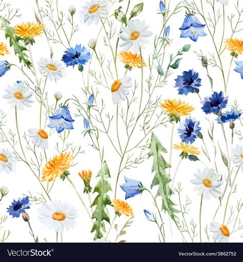 Wildflowers Royalty Free Vector Image Vectorstock