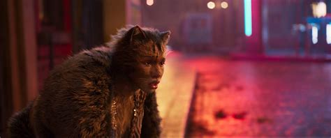 We did not find results for: Cats - Afrique Films