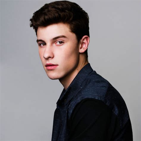Shawn Mendes Discography At Discogs