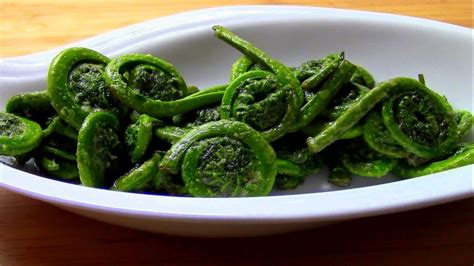 Wild Edibles Fern Fiddleheads Video Survival Stronghold