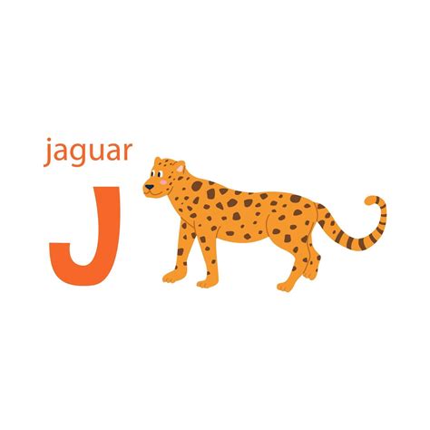 Cute Jaguar Card Alphabet With Animals Colorful Design For Teaching