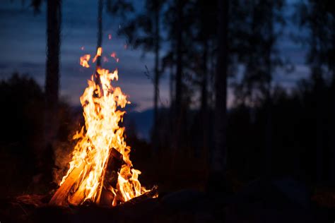 Fire Color Changer Easy Tricks To Change The Color Of Your Campfire
