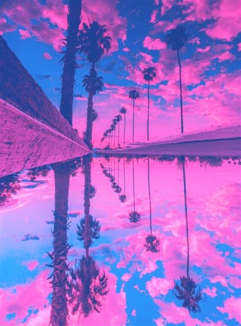 Neon Purple Pictures Palm Trees On Tumblr