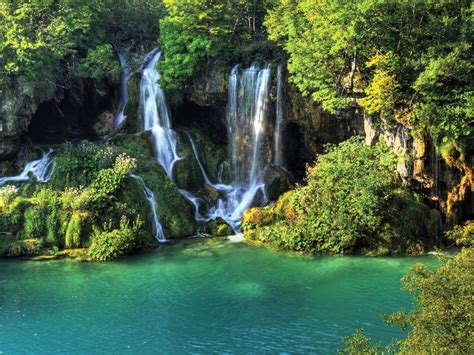 To be welcomed with the beautiful vista of the sun shining brilliantly on a lavender field is something words can't describe. Thailand Wallpaper, Waterfall, River Jungle. Nature Desktop Wallpapers 976 : Wallpapers13.com