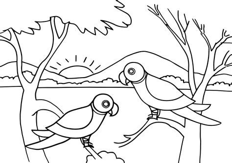 Jungle Coloring Pages Coloring Pages To Download And Print