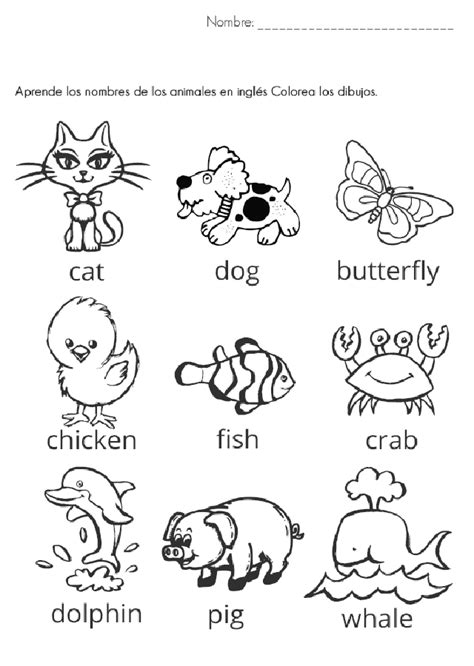 💠 Dibujos Para Colorear Animales Ingles Dibujosparacoloreareu
