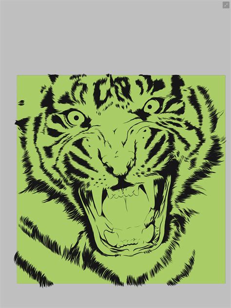 Tiger Illustration On Behance