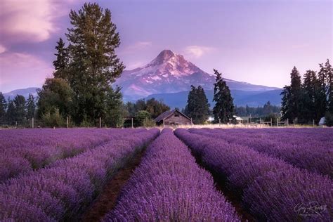 Purple Mountains Majesty By Gary Randall Photography This Is A