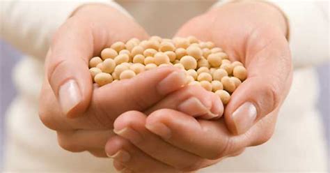 4 Importantes Beneficios Para La Salud De Comer Soya