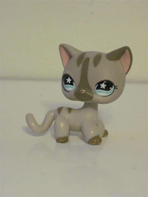Littlest Pet Shop Lps Cute Kitty Cat Short Hair Grey Tabby Ebay This