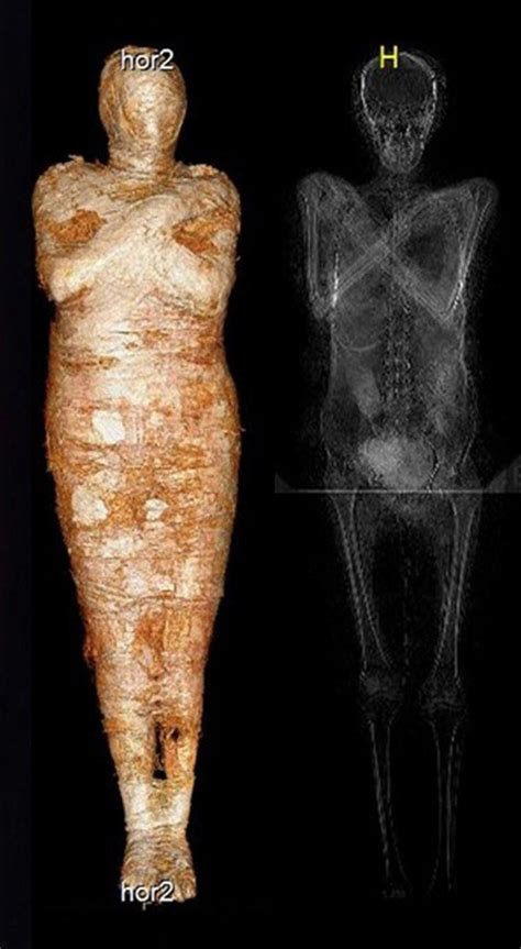 2000 Year Old Pregnant Mummy Discovery Shocked Scientists