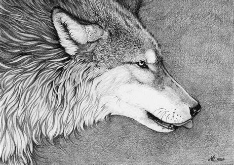 Wolf By Christinamandy On Deviantart Wolf Drawing Wolf Artwork