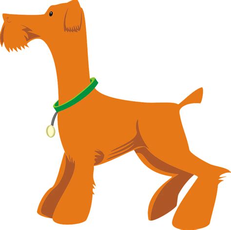 Airedale Terrier clipart. Free download transparent .PNG | Creazilla