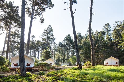 White Tents Pepper The Forest At Mendocino Grove The Site Has The Best Of Both Worldsforest