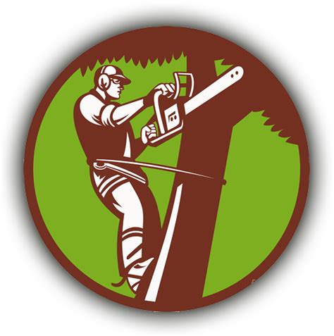 Why Hire A Certified Arborist Arborscape Tree Services