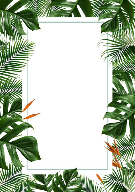 Tropical Green Leaf Frame On White Background Etsy