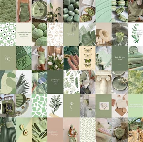 Sage Greenmatcha Green Wall Collage Kit Sage Aesthetic