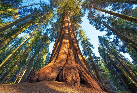 7 Natural Wonders In California Worldatlas