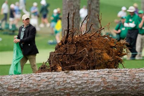Trees Fall Near 17th Tee Box At 2023 Masters Tournament