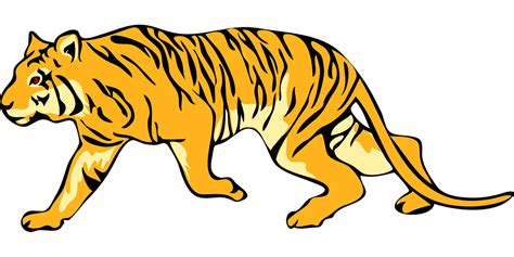 Gambar Animasi Harimau Ulwan Gambar