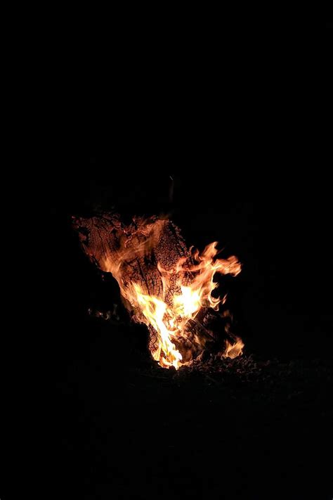 Fogata Bonfire Campamento Flames Fire Nature Night Paz