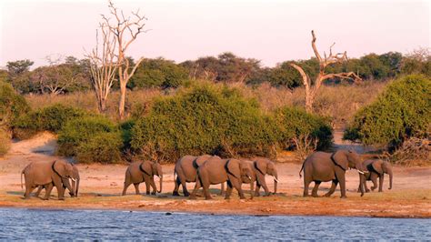 i 10 parchi nazionali africani più belli in cui fare un safari evaneos