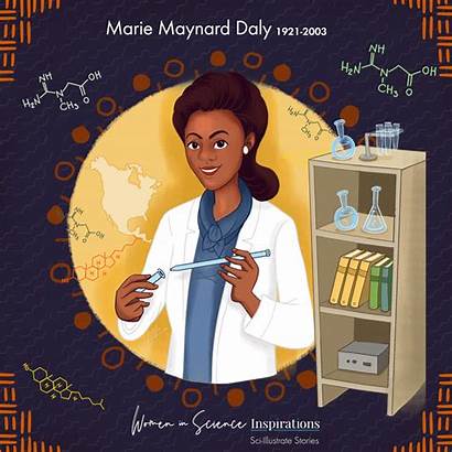 Marie Maynard Daly Illustrate Sci Stories Medium