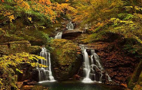 Wallpaper Autumn Forest Trees Stream Rocks Waterfall Stream