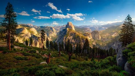 Download Wallpaper 1600x900 Usa Yosemite National Park Forest Trees