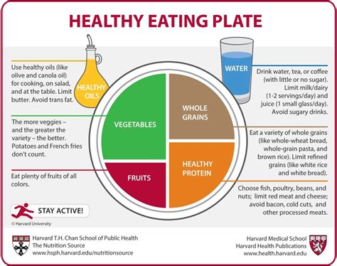 Best Nutrition Infographics On Healthy Eating Portion Size And Hydration