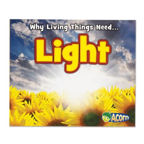 Why Living Things Need Light Montessori Services