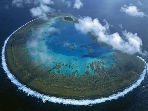 Lady Musgrave Island Coral Atoll Great Barrier Reef Australia X