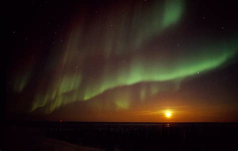 Real life pictures, clicked in real time. Cool Nature Pictures: 13 Cool Northern Lights Picture