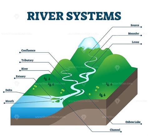 River Systems And Drainage Basin Educational Structure Vector
