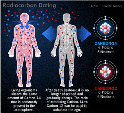 For example, every person is hit by about half a million cosmic rays every hour. What is Carbon Dating? - Universe Today