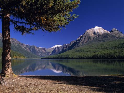 Bowman Lake Glacier National Park Montana Glacier National Park