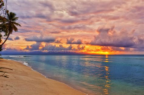 Caribbean Beach Sunset Stock Image Image Of Sunset Tree 35224101