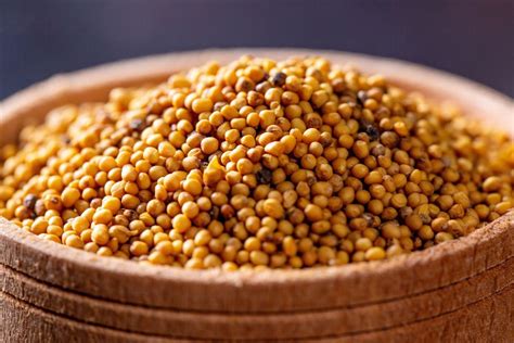 Mustard Seeds Close Up Creative Commons Bilder
