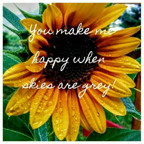 We did not find results for: Pin by Natalie 🦋 on quotes :) | Sunflower quotes, Flower ...