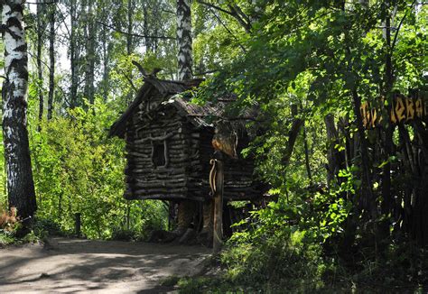 Free Images Tree Forest Wood Trail Summer Vacation Hut Green