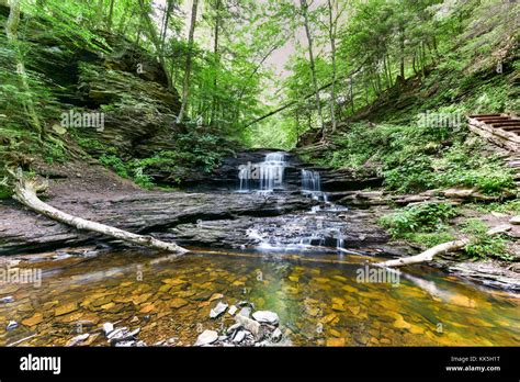 Waterfall In Ricketts Glen State Park Pennsylvania Stock Photo Alamy