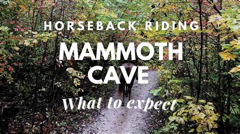 Horseback Riding Mammoth Cave What To Expect Travel Youman