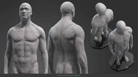Artstation Poligone Male Anatomy Statue Resources