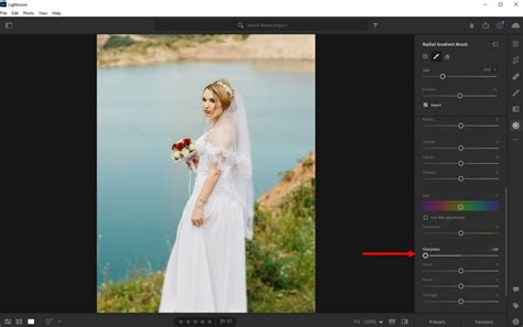 Cara Memburamkan Latar Belakang di Lightroom (Panduan Langkah demi