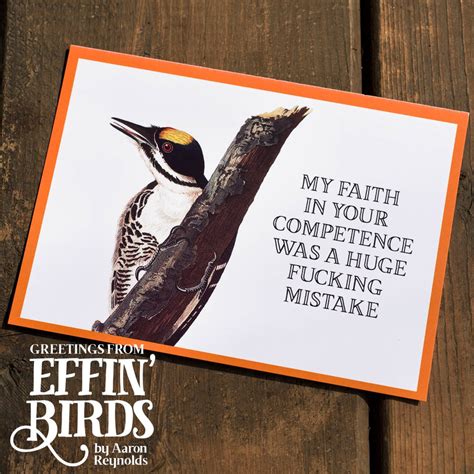 Greetings From Effin Birds 100 Tear Out Postcards Effin Birds