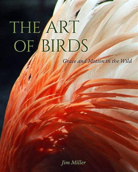 The Art Of Birds Grace And Motion In The Wild Nhbs Good Reads