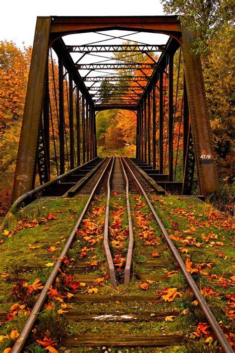 Autumn Railroad Scenery Railroad Bridge Scenic